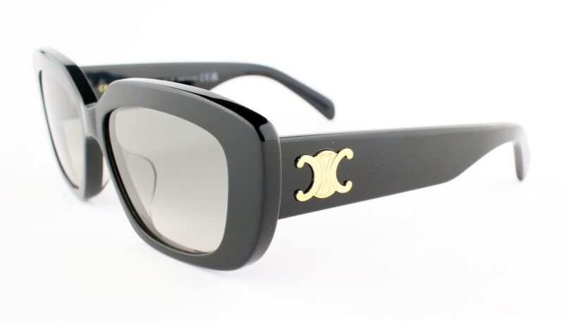 Okulary przeciwsłoneczne CELINE CL40216U 01F - obrazek 2